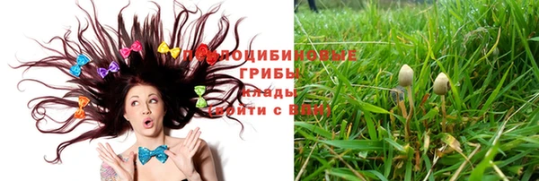 ГАЛЛЮЦИНОГЕННЫЕ ГРИБЫ Белокуриха