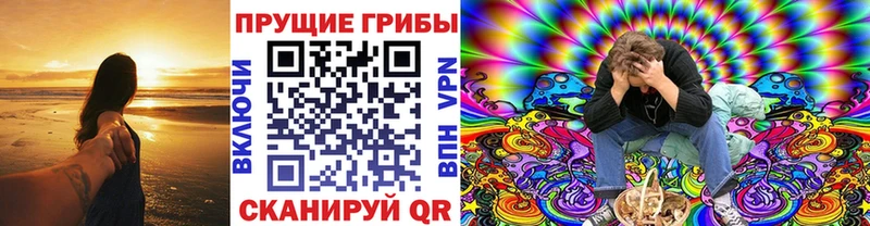 Галлюциногенные грибы мицелий  маркетплейс официальный сайт  Волосово 